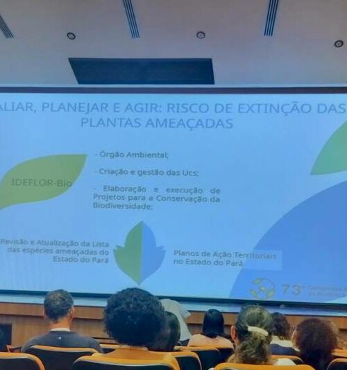 Proteção à biodiversidade é destaque em Congresso Nacional de Botânica realizado no Pará