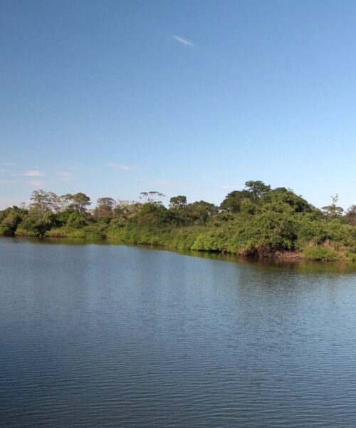 Governo do Tocantins publica edital para viabilizar venda de créditos de carbono