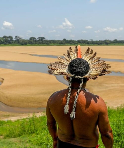 Organizações da igreja católica no Brasil lançam campanha em apoio às vítimas da seca na Amazônia  