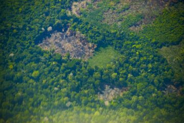 Amazônia Protege: iniciativa do MPF vence Prêmio CNMP 2024