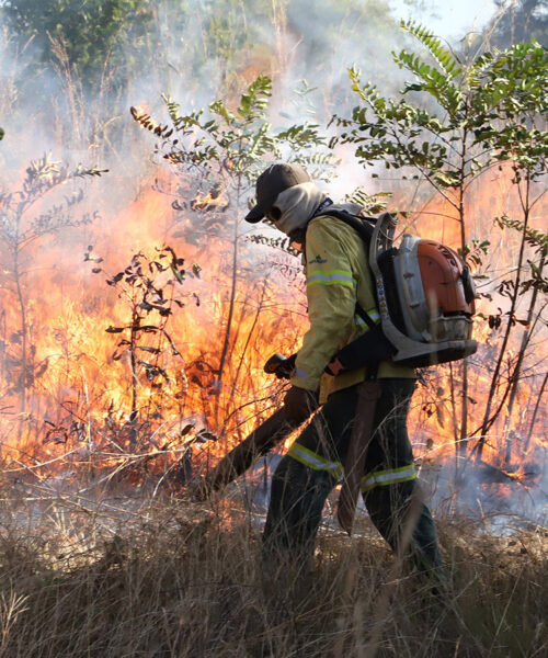 Naturatins supera metas de licenciamento, intensifica fiscalização e reduz incêndios florestais no Tocantins