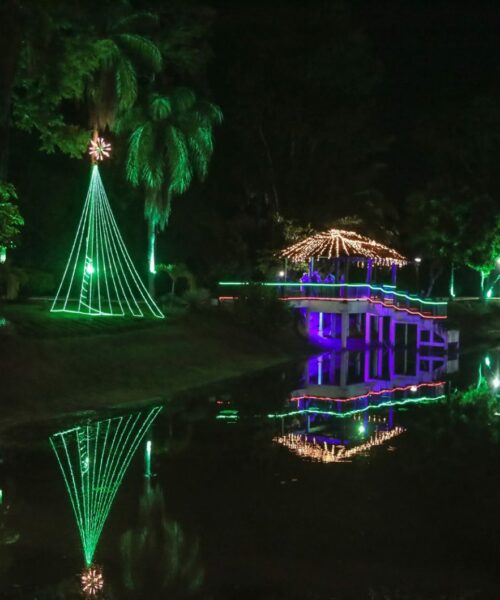 Horto Florestal de Rio Branco ganha luzes e decoração de Natal