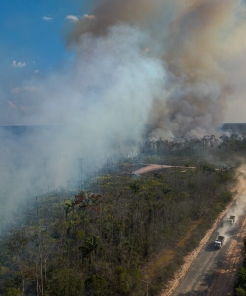 Municípios da BR-319 concentraram 40% dos focos de calor durante temporada do fogo no Amazonas