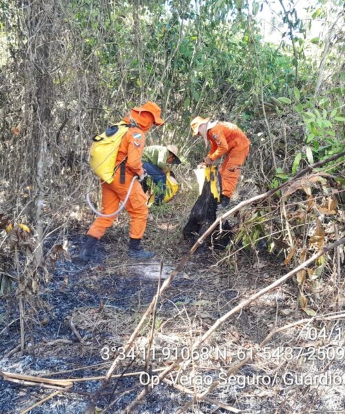 Operação de resposta à estiagem e prevenção a incêndios florestais em Roraima completa um mês em campo
