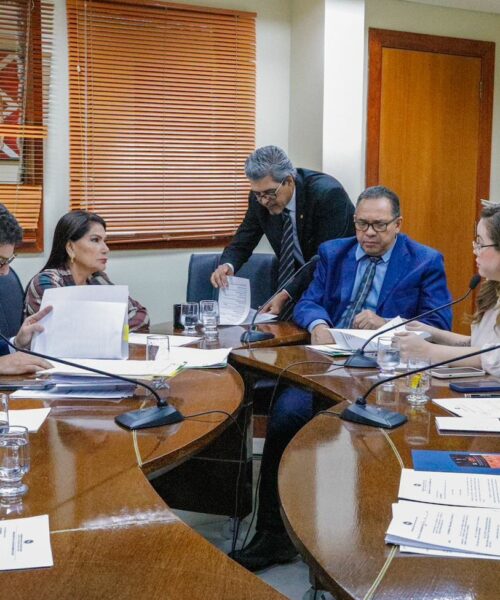 Comissões da Assembleia Legislativa do Acre aprovam matérias da Defensoria Pública