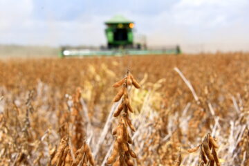 Ciência agronômica, biocapacidade e serviços ecossistêmicos