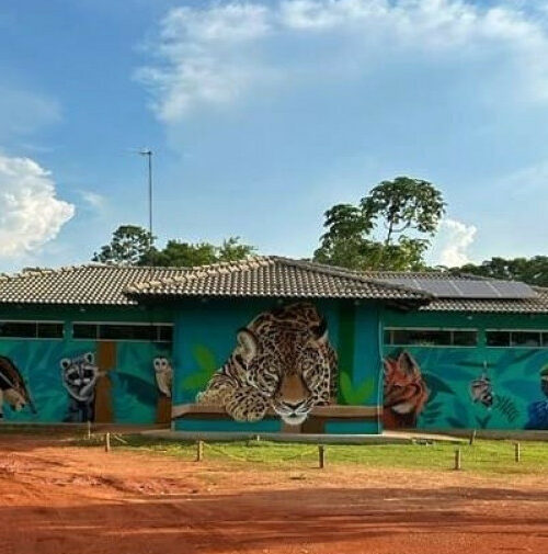 Centro de Fauna do Tocantins realiza ações para preservar fauna silvestre