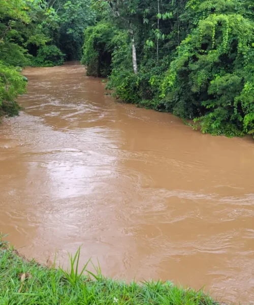 Prefeito de Rio Branco faz visita técnica a igarapés para acompanhar nível das águas