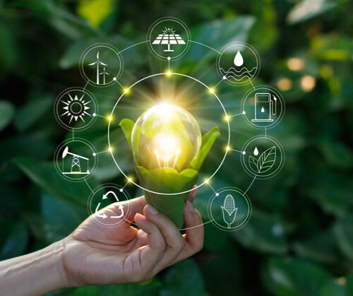 Conservação da natureza pode impulsionar economia de baixo carbono, defende Coalizão Brasil