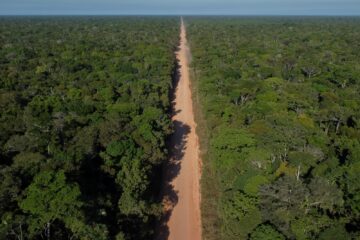 MPF requer suspensão de licenciamento das obras em trecho da BR-319 que liga Manaus (AM) a Porto Velho (RO)