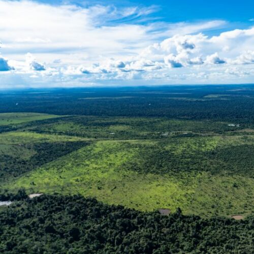 Agendas de uso da terra e de adaptação devem ganhar protagonismo na COP 30, que começa daqui a 100 dias