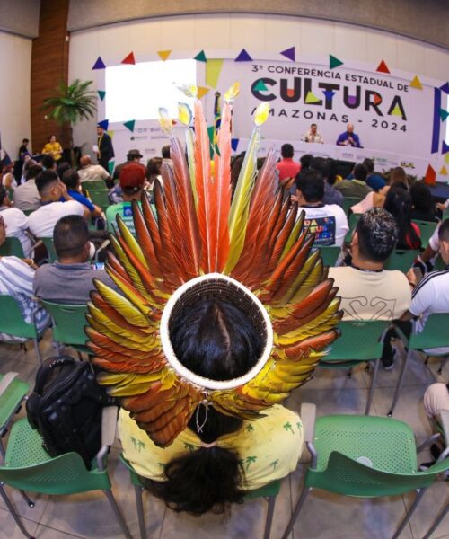 Com 45 delegados, Amazonas participa da 4ª Conferência Nacional de Cultura em Brasília