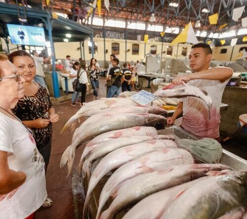 Consumo de pescado no Pará é quase quatro vezes maior que a média brasileira