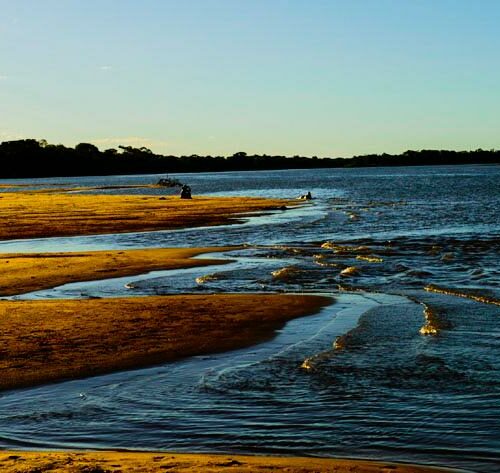 Primeira etapa de programa da Sema irá recuperar 212 hectares de áreas de conservação e parques de Mato Grosso