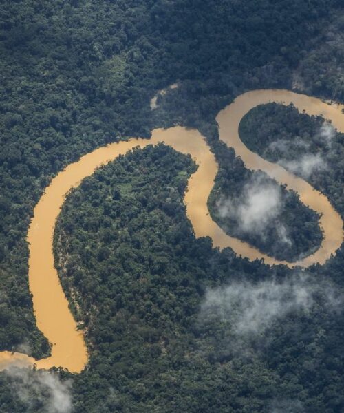 Forças Armadas combatem garimpo na Terra Indígena Yanomami