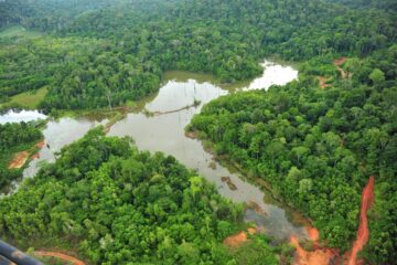 Governo do Amapá avança para etapa de conclusão do programa de Zoneamento Ecológico-Econômico do estado 