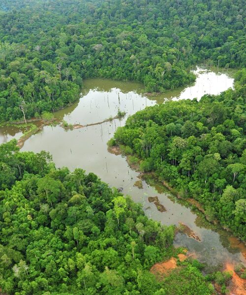 Governo do Amapá avança para etapa de conclusão do programa de Zoneamento Ecológico-Econômico do estado 