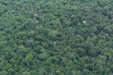O Brasil que a COP30 precisa enxergar