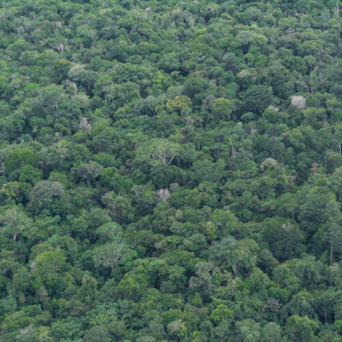 O Brasil que a COP30 precisa enxergar