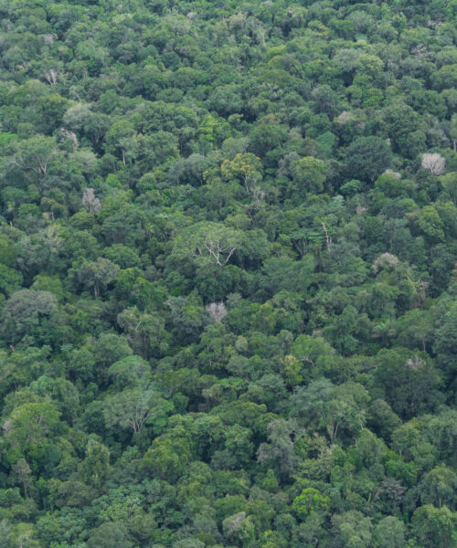 O Brasil que a COP30 precisa enxergar