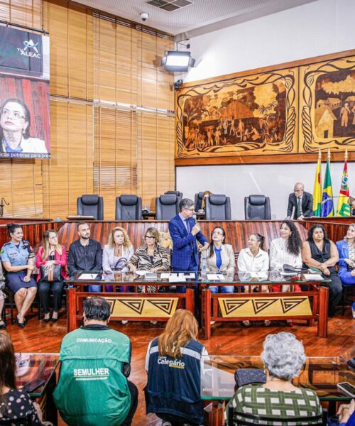 Audiência Pública na Aleac debate medidas para enfrentar o aumento da violência contra a mulher no Acre
