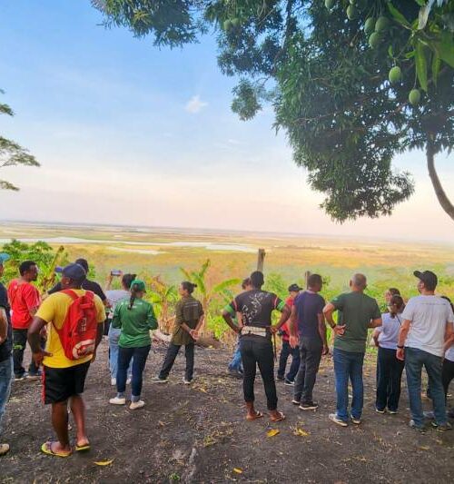 Semas Pará estimula recomposição florestal produtiva em territórios quilombolas do Baixo Amazonas