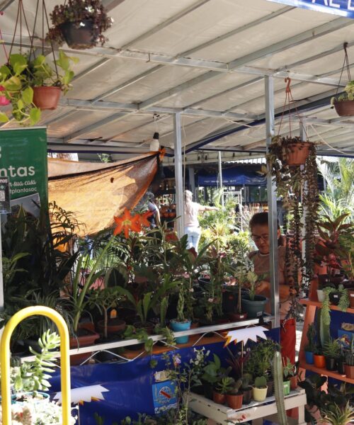 Ecoflores promove Economia Solidária e Popular no Horto Florestal, em Rio Branco