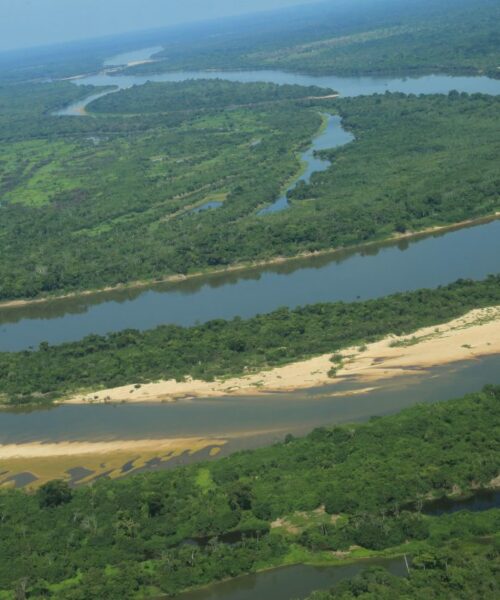 Conscientização e preservação ambiental são destacadas na abertura da Semana do Meio Ambiente em Rondônia