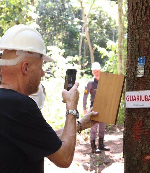 Empresário estrangeiro fica impressionado com práticas utilizadas na produção de madeira em MT