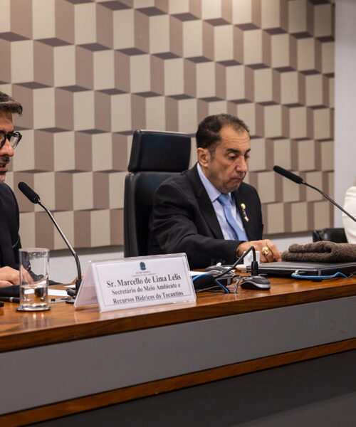 Governo do Tocantins apresenta projeto pioneiro no mercado internacional de carbono em Brasília
