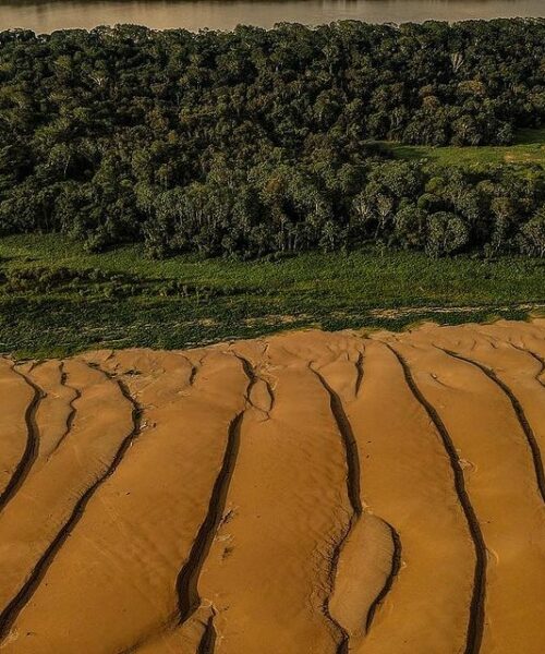 “A seca de 2023 ainda não acabou”, afirma pesquisador do Instituto Nacional de Pesquisas da Amazônia