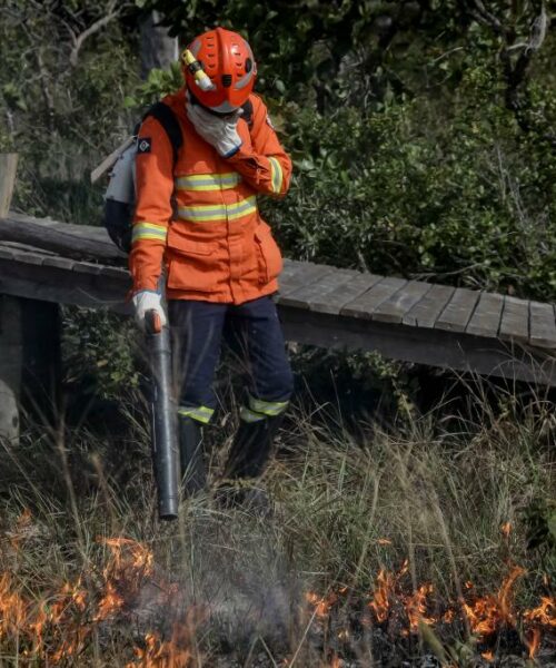 Corpo de Bombeiros do Mato Grosso alerta população para não fazer uso do fogo: “vamos juntos evitar grandes incêndios”