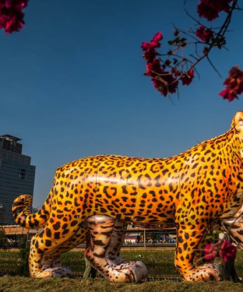 Viradinha Sustentável em Mato Grosso terá esculturas gigantes de onças-pintadas