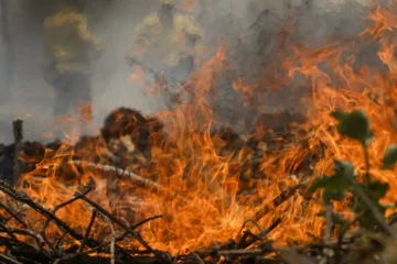 Quase 1/4 do território brasileiro pegou fogo nos últimos 40 anos, aponta estudo do Mapbiomas