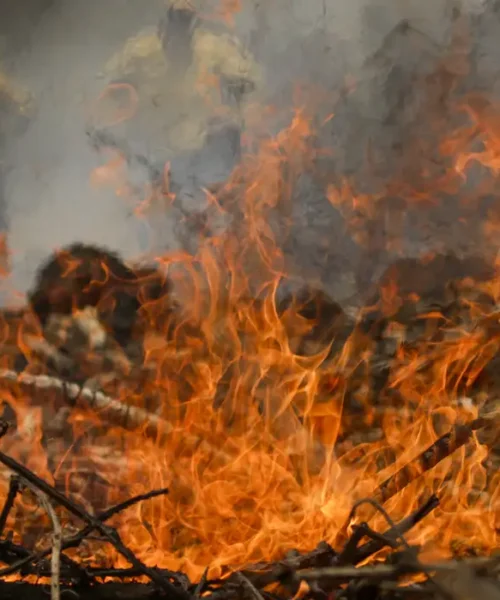 Quase 1/4 do território brasileiro pegou fogo nos últimos 40 anos, aponta estudo do Mapbiomas