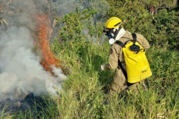 Incêndios florestais colocam em risco investimentos e estratégias climáticas na Amazônia