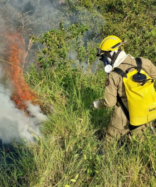 Incêndios florestais colocam em risco investimentos e estratégias climáticas na Amazônia