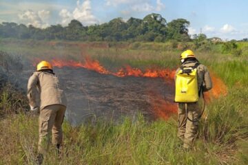 Instituições intensificam ações de combate ao desmatamento e às queimadas no Acre