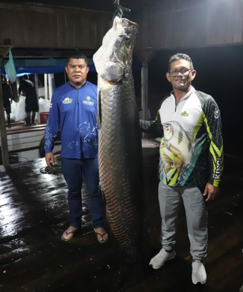 Pescadores de Tapauá (AM) iniciam pesca manejada de pirarucu com alcance de mais de 1,2 mil peixes capturados