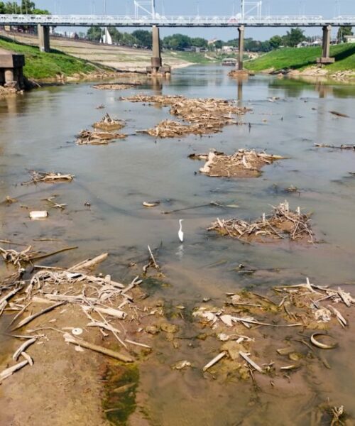 Governo do Acre decreta situação de emergência devido à seca extrema e risco de desbastecimento de água