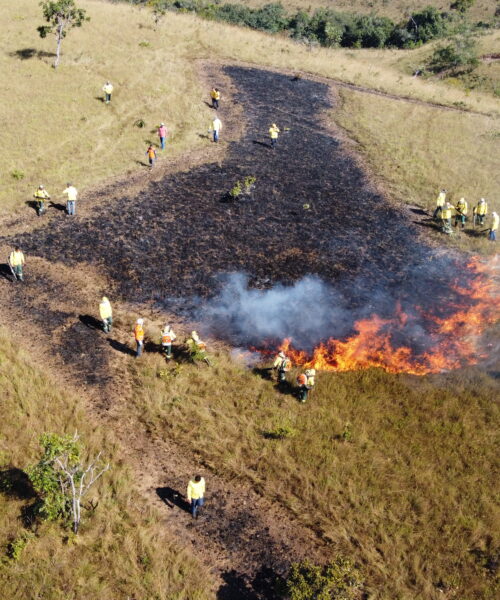 Manejo Integrado do Fogo protege o Cerrado e previne incêndios florestais nas Unidades de Conservação do Tocantins