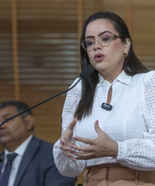 Deputada Michelle Melo enfatiza necessidade urgente de valorização da Polícia Civil do Acre