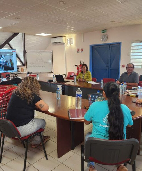 Governo do Amapá e franceses se reúnem para tratativas da COP 30 e Festival dos Povos Indígenas