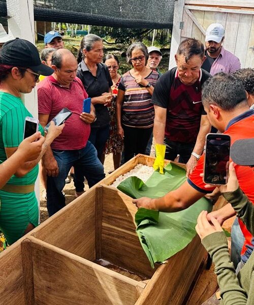 Governo do Amapá envia técnicos e extensionistas rurais para capacitação sobre colheita e fermentação de amêndoas, no Pará