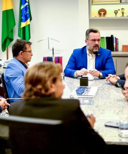 Em Brasília, Gonzaga se reúne com Alan Rick e luta pela integração dos municípios isolados do Acre