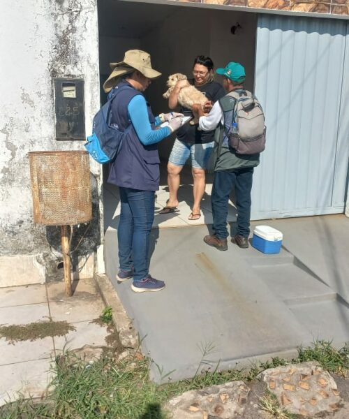Prefeitura de Rio Branco realiza vacinação antirrábica em bairro da cidade