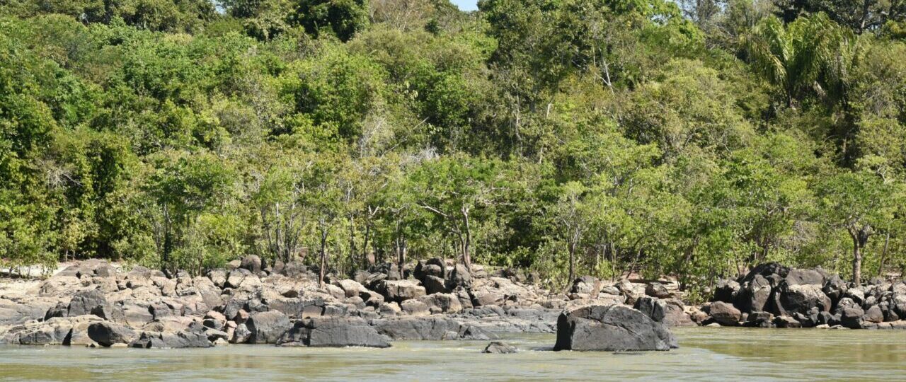 Desenvolvimento sustentável é fortalecido por rondonistas em áreas de selva amazônica, em Rondônia