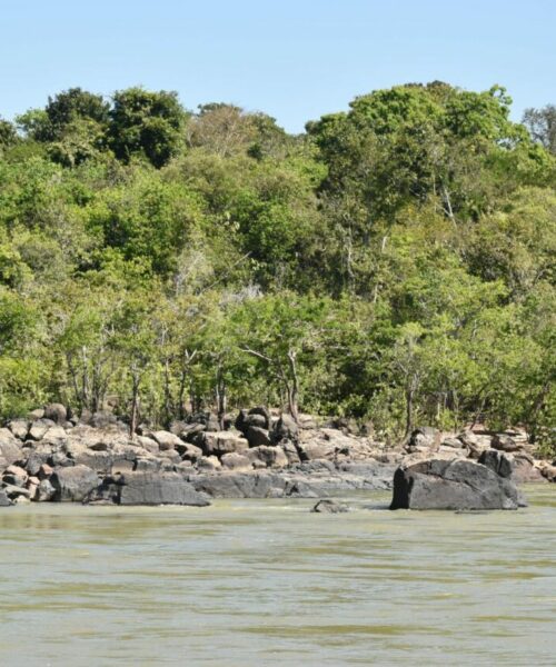 Desenvolvimento sustentável é fortalecido por rondonistas em áreas de selva amazônica, em Rondônia