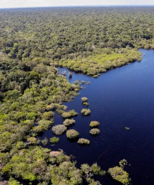 Criação do Museu das Amazônias é lançada em Belém e pretende ser legado da COP30