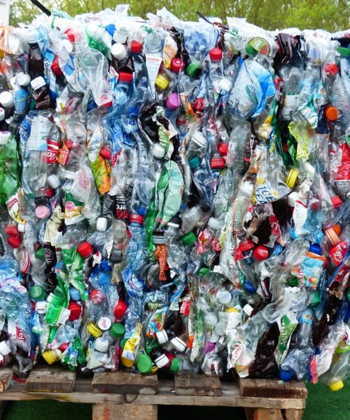 COP 30… Enquanto isso,nas ruas do mundo…